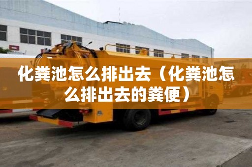 化粪池怎么排出去（化粪池怎么排出去的粪便）