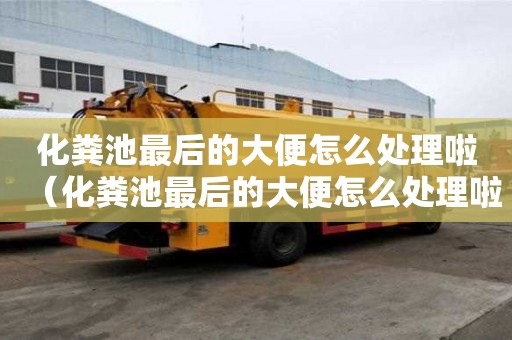 化粪池最后的大便怎么处理啦（化粪池最后的大便怎么处理啦视频）