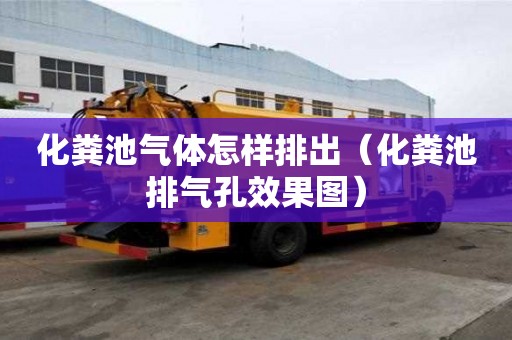 化粪池气体怎样排出（化粪池排气孔效果图）
