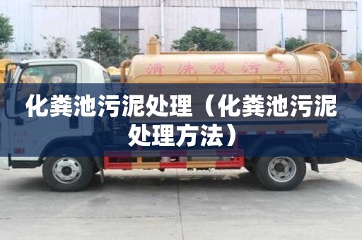 化粪池污泥处理（化粪池污泥处理方法）