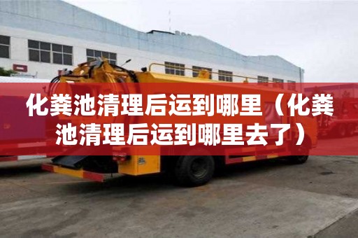 化粪池清理后运到哪里（化粪池清理后运到哪里去了）
