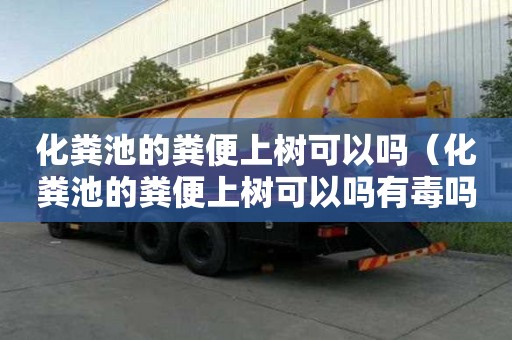 化粪池的粪便上树可以吗（化粪池的粪便上树可以吗有毒吗）