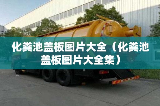 化粪池盖板图片大全（化粪池盖板图片大全集）