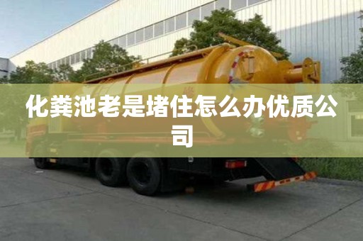 化粪池老是堵住怎么办优质公司