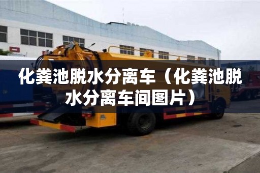 化粪池脱水分离车（化粪池脱水分离车间图片）