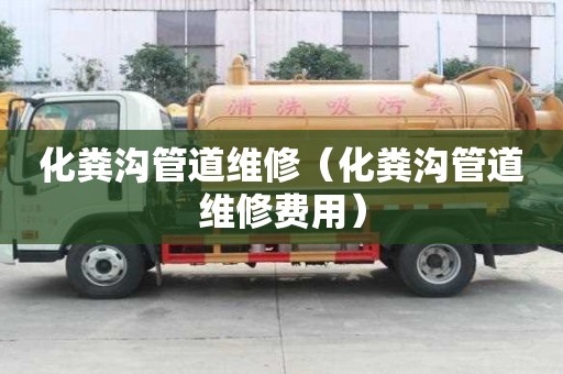 化粪沟管道维修（化粪沟管道维修费用）