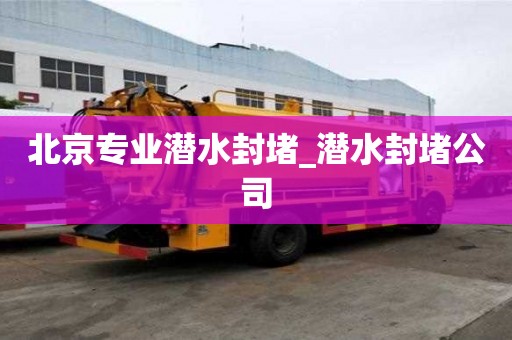 北京专业潜水封堵_潜水封堵公司