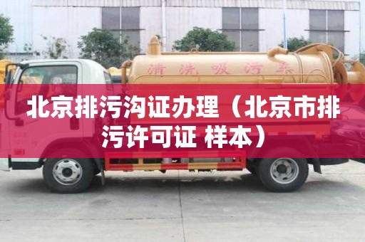 北京排污沟证办理（北京市排污许可证 样本）