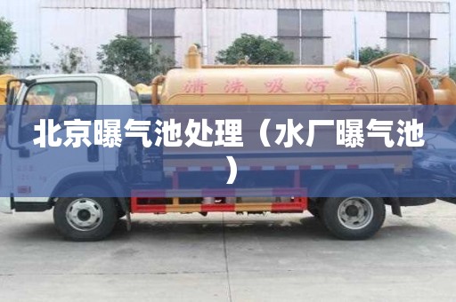 北京曝气池处理（水厂曝气池）