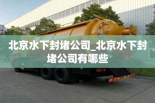 北京水下封堵公司_北京水下封堵公司有哪些