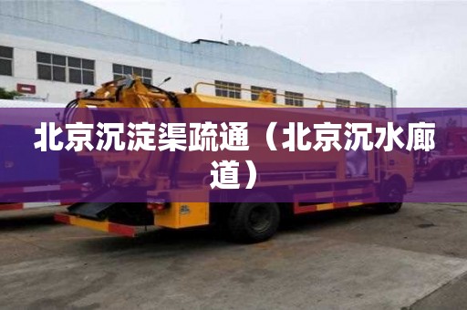 北京沉淀渠疏通（北京沉水廊道）