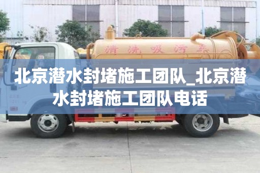 北京潜水封堵施工团队_北京潜水封堵施工团队电话