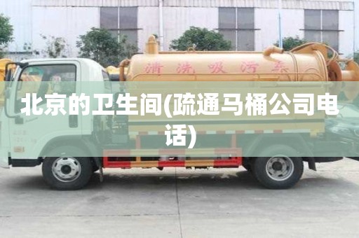 北京的卫生间(疏通马桶公司电话) 北京的卫生间(疏通马桶公司电话)