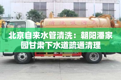 北京自来水管清洗：朝阳潘家园甘肃下水道疏通清理