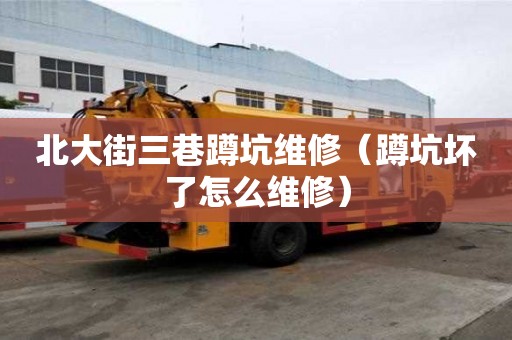 北大街三巷蹲坑维修（蹲坑坏了怎么维修）