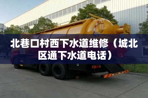 北巷口村西下水道维修（城北区通下水道电话）