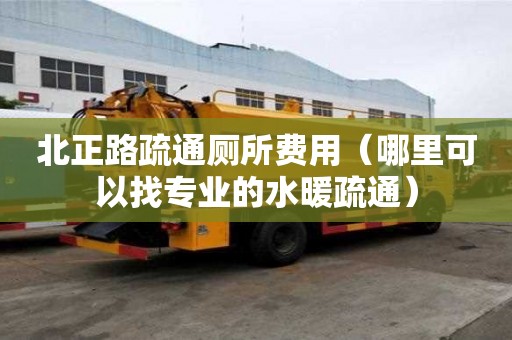 北正路疏通厕所费用（哪里可以找专业的水暖疏通）