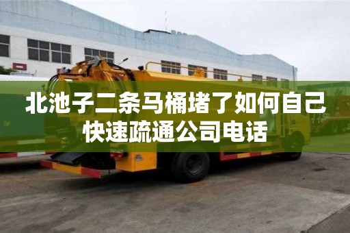 北池子二条马桶堵了如何自己快速疏通公司电话 北池子二条马桶堵了如何自己快速疏通公司电话