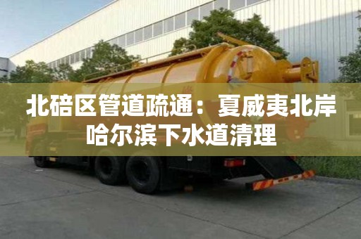 北碚区管道疏通：夏威夷北岸哈尔滨下水道清理