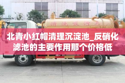北青小红帽清理沉淀池_反硝化滤池的主要作用那个价格低