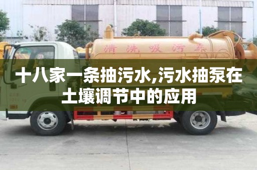 十八家一条抽污水,污水抽泵在土壤调节中的应用