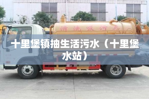 十里堡镇抽生活污水（十里堡水站）