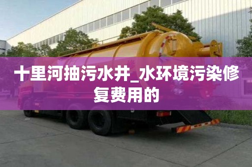 十里河抽污水井_水环境污染修复费用的