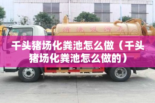 千头猪场化粪池怎么做（千头猪场化粪池怎么做的）