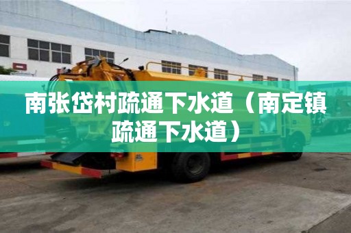 南张岱村疏通下水道（南定镇疏通下水道）