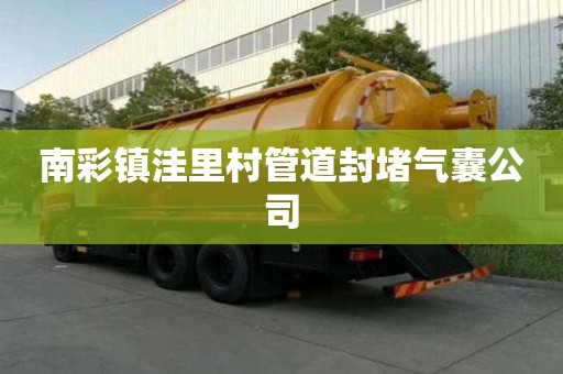 南彩镇洼里村管道封堵气囊公司