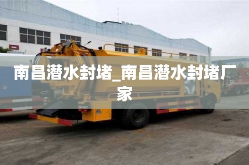 南昌潜水封堵_南昌潜水封堵厂家