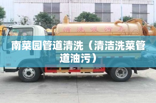 南菜园管道清洗（清洁洗菜管道油污）