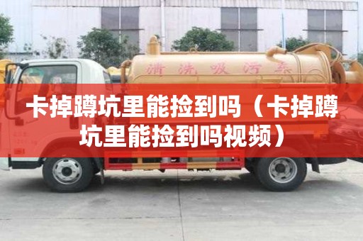 卡掉蹲坑里能捡到吗（卡掉蹲坑里能捡到吗视频）