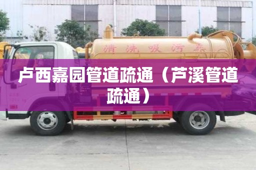 卢西嘉园管道疏通（芦溪管道疏通）