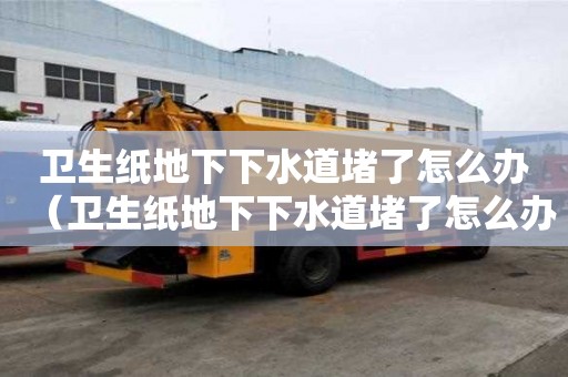 卫生纸地下下水道堵了怎么办（卫生纸地下下水道堵了怎么办视频）
