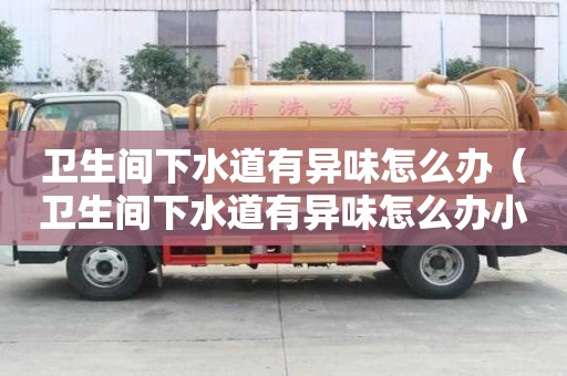 卫生间下水道有异味怎么办(卫生间下水道有异味怎么办小妙招) 卫生间下水道有异味怎么办(卫生间下水道有异味怎么办小妙招)