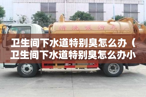 卫生间下水道特别臭怎么办（卫生间下水道特别臭怎么办小妙招）