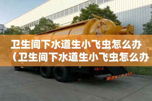 卫生间下水道生小飞虫怎么办（卫生间下水道生小飞虫怎么办视频）