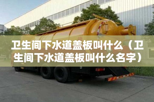 卫生间下水道盖板叫什么（卫生间下水道盖板叫什么名字）