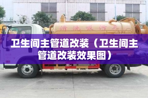 卫生间主管道改装（卫生间主管道改装效果图）