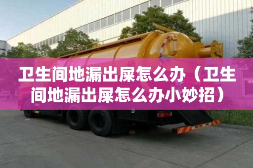 卫生间地漏出屎怎么办(卫生间地漏出屎怎么办小妙招) 卫生间地漏出屎怎么办(卫生间地漏出屎怎么办小妙招)