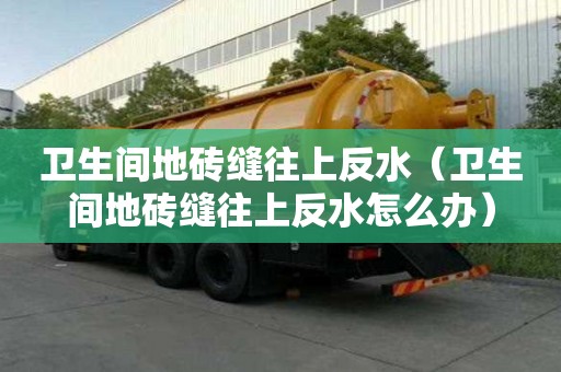卫生间地砖缝往上反水（卫生间地砖缝往上反水怎么办）