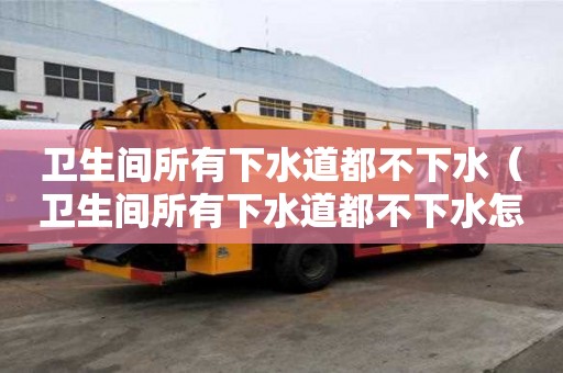 卫生间所有下水道都不下水（卫生间所有下水道都不下水怎么办）