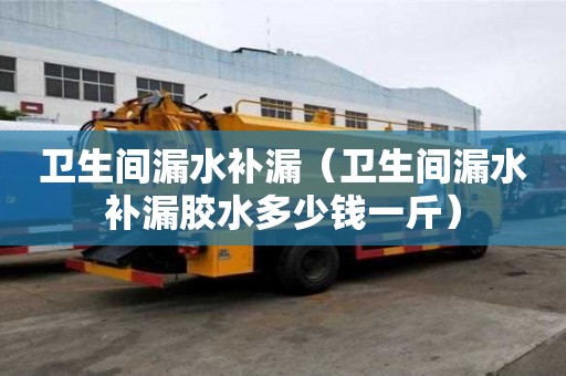 卫生间漏水补漏（卫生间漏水补漏胶水多少钱一斤）
