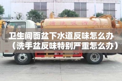 卫生间面盆下水道反味怎么办（洗手盆反味特别严重怎么办）