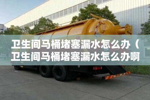 卫生间马桶堵塞漏水怎么办（卫生间马桶堵塞漏水怎么办啊）