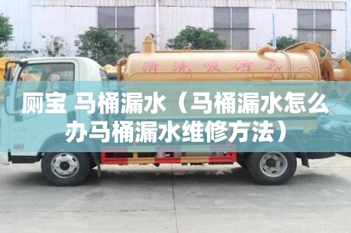 厕宝 马桶漏水（马桶漏水怎么办马桶漏水维修方法）