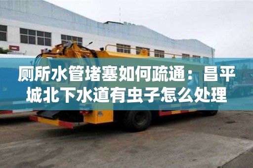 厕所水管堵塞如何疏通：昌平城北下水道有虫子怎么处理