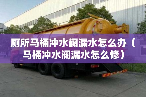 厕所马桶冲水阀漏水怎么办（马桶冲水阀漏水怎么修）