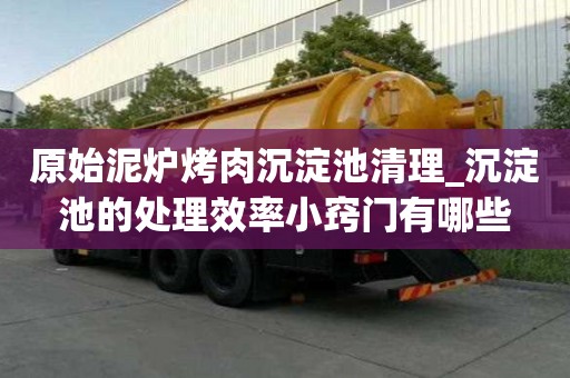 原始泥炉烤肉沉淀池清理_沉淀池的处理效率小窍门有哪些